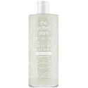 the potted plant Herbal Blossom Body Wash 16.9 Fl. Oz.