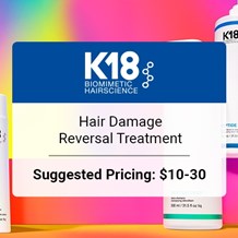 K18 Professional Services