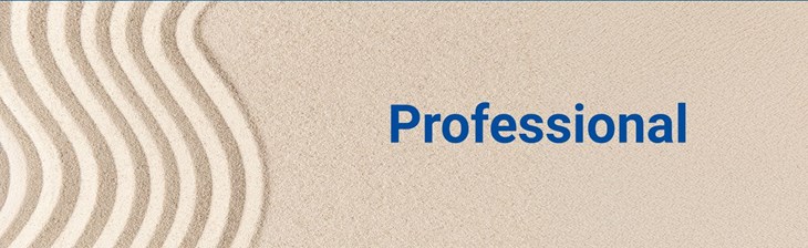 CATEGORY GENERIC Single Professional