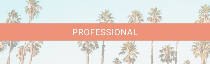 CATEGORY GENERIC Single Professional