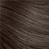 Aloxxi Cool Cocoa Beans 6.8 Fl. Oz.