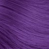 Aloxxi Purple Reign 6.8 Fl. Oz.