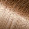 Babe 12/60- Ombre- Louise 22 inch