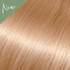 Babe Curly 600- Dixie 22 inch
