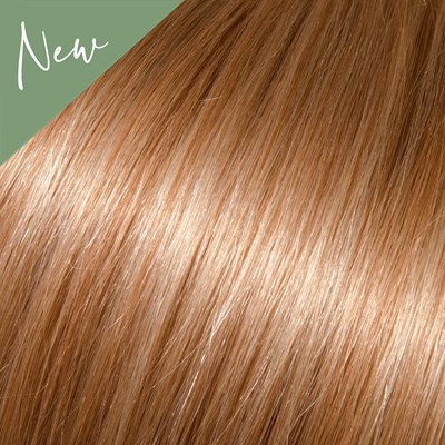 Babe Ombre 27/613- Bridget 22.5 inch