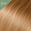 Babe Ombre 12/600- Gabby 22.5 inch