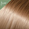 Babe Ombre 12/60- Louise 22.5 inch
