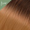 Babe Ombre 4/613- Kymberly 22.5 inch