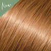 Babe 12- Dottie 18 inch