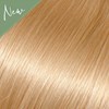Babe 600- Dixie 18 inch