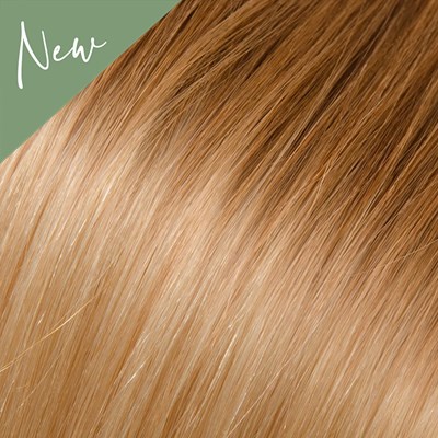 Babe Curly Ombre 12/600- Gabby 22 inch