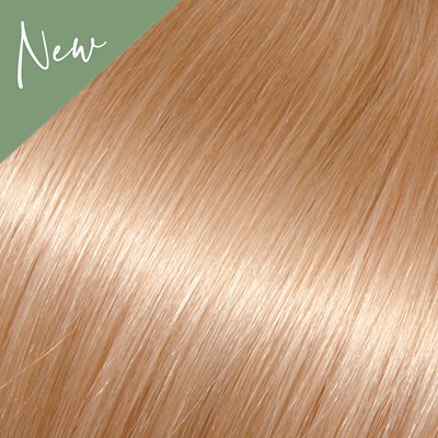 Babe Curly 600- Dixie 22 inch