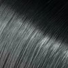 Babe Ombre 1B-Sil- Sasha 22 inch