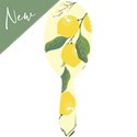 Framar Limoncello Detangle Brush - Amalfi