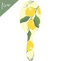 Framar Limoncello Detangle Brush - Amalfi