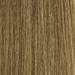 MOROCCANOIL Gloss 7.7/7Gr- Medium Matte Blonde 2 Fl. Oz.