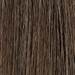MOROCCANOIL Gloss 6.13/6BG- Dark Ash Gold Blonde 2 Fl. Oz.