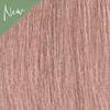 MOROCCANOIL Gloss 8.23/8VG- Light Iridescent Gold Blonde 2 Fl. Oz.