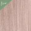 MOROCCANOIL Gloss 9.32/9GV- Light Gold Iridescent Blonde 2 Fl. Oz.