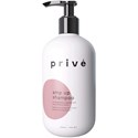 privé amp up shampoo 12 Fl. Oz.