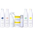 Sunlights Retail Large Intro Bundle