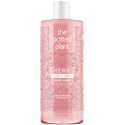 the potted plant Plums & Cream Body Wash 16.9 Fl. Oz.