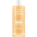 the potted plant Tangerine Mochi Body Wash 16.9 Fl. Oz.