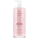the potted plant Plums & Cream Body Lotion 16.9 Fl. Oz.