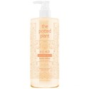 the potted plant Tangerine Mochi Body Lotion 16.9 Fl. Oz.